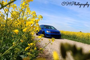 Image post by @c91photography on Instagram
