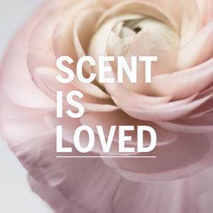 Image post by @scentbeauty on Instagram
