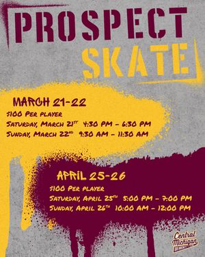 Image post by @cmuhockeyd3 on Instagram