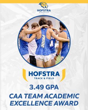 Image post by @hofstrapridepillars on Instagram