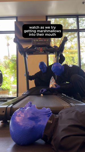 Video post by @bluemangroup on TikTok