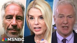 Video post by @msnbc on YouTube