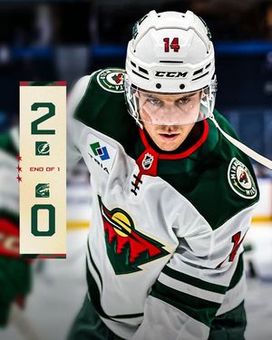 Image post by @minnesotawild on Facebook