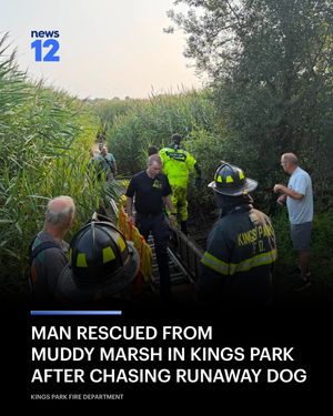 Image post by @news12li on Instagram