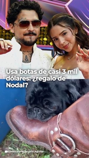 Image post by @univisionfamosos on Instagram