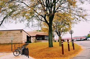 Image post by @smumn on Instagram