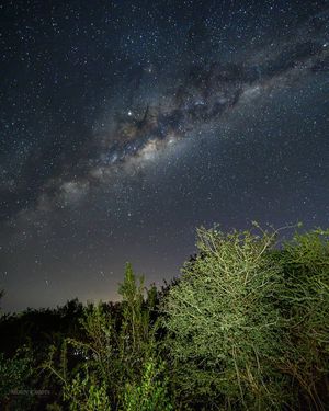 Image post by @shauns_shots on Instagram