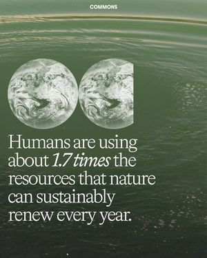 Image post by @commonsearth on Instagram
