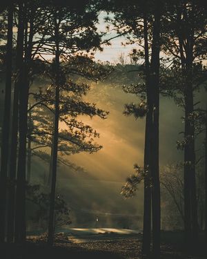 Image post by @chasingfowlphotography on Instagram