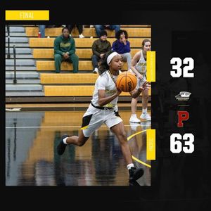 Image post by @gopetrelswbb on Instagram