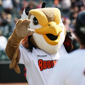 Image post by @boomersbaseball on Instagram