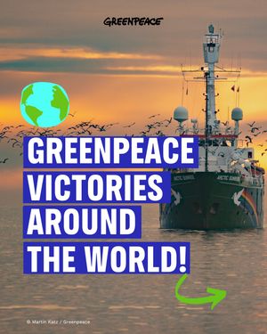 Image post by @greenpeace on Instagram