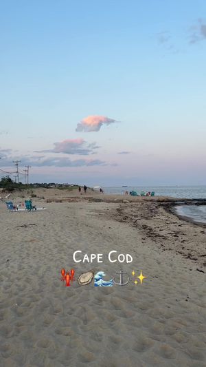 Video post by @laurenhearnnn on TikTok