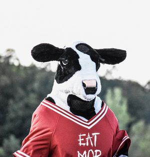 Image post by @amizusha on Instagram