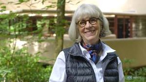 Video post by @PPG Paints on YouTube