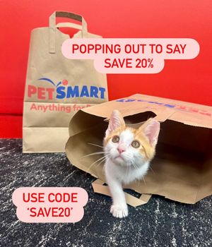Image post by @petsmart on Instagram