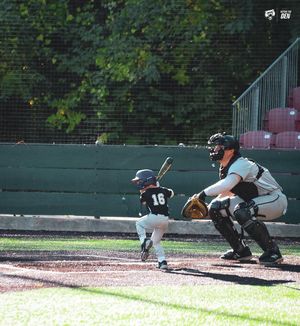 Image post by @bubruins_bsbl on Instagram