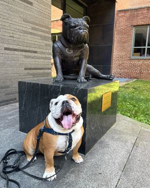 Image post by @georgetownuniversity on Instagram