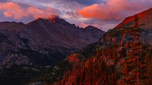 Image post by @anthonypolitano on Instagram