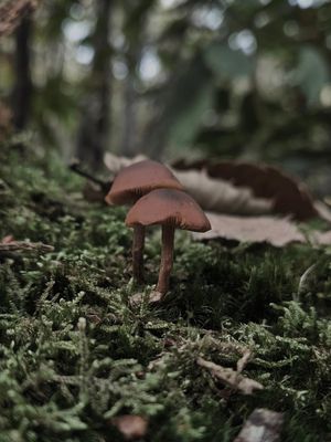 Image post by @gaetanld56 on Instagram