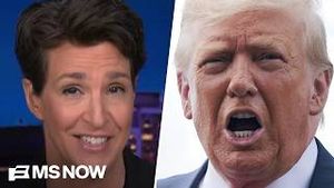 Video post by @msnbc on YouTube