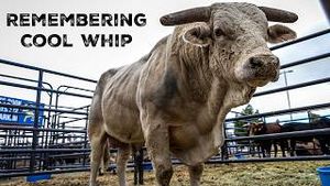 Video post by @pbr on YouTube