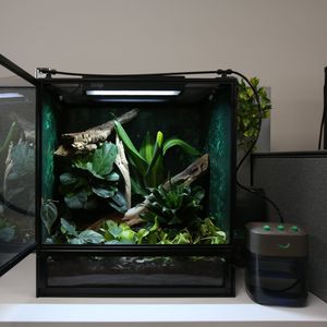 Image post by @leaphabitats on Instagram