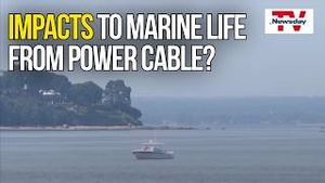 Video post by @newsday on YouTube
