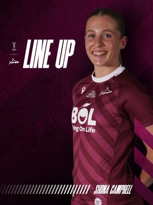 Image post by @salesharkswomen on Instagram