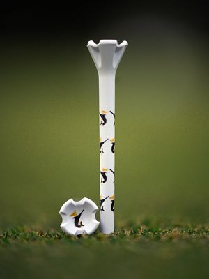 Image post by @evolvegolf on Instagram