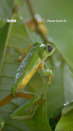 Video post by @bbcearth on Instagram