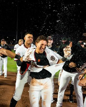 Image post by @gosquirrels on Instagram
