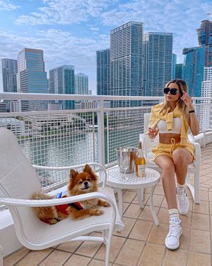 Image post by @mo_miami on Instagram