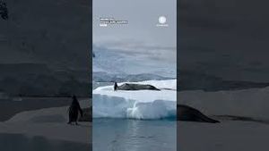 Video post by @accuweather on YouTube