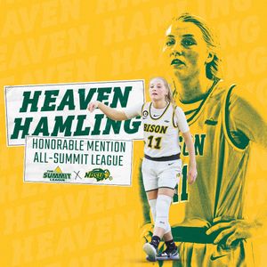 Image post by @NDSUwbb on Twitter