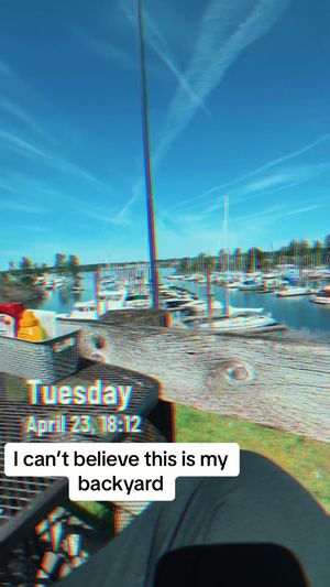 Video post by @sailing_with_phoenix on TikTok