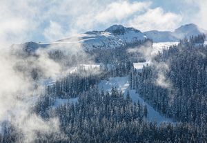 Image post by @whistlerblackcomb on Instagram