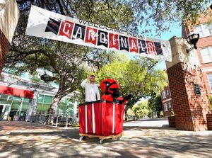 Image post by @uiwcardinals on Instagram