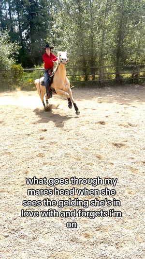 Image post by @Rodeo Girlies Club on Facebook