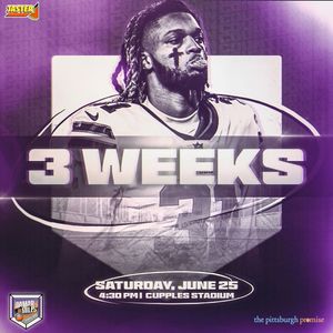 Image post by @chasingmscharitysoftball on Instagram