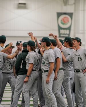 Image post by @msu_baseball on Instagram