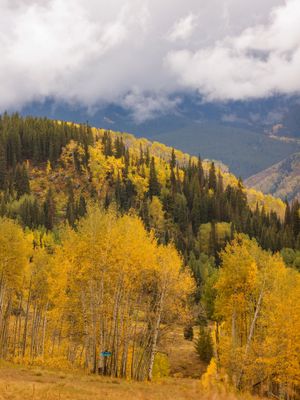 Image post by @skicrestedbutte on Instagram