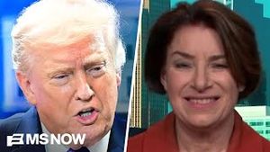 Video post by @msnbc on YouTube