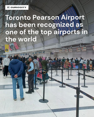 Image post by @curiocitytoronto on Instagram
