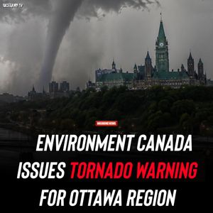 Image post by @shottawa.tv on Instagram