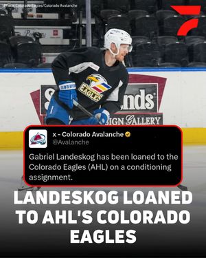Image post by @flohockey on Instagram