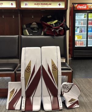 Image post by @goaliegearnerd on Instagram