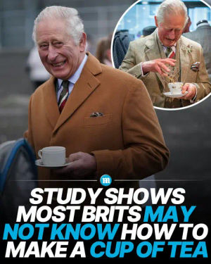 Image post by @dailymailuk on TikTok