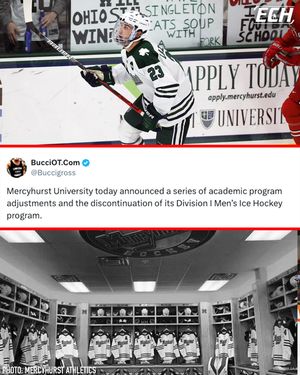 Image post by @everythingcollegehockey on Instagram
