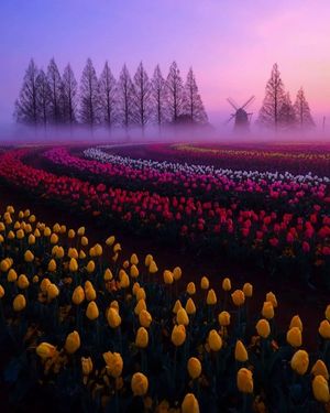 Image post by @nature88885 on Instagram